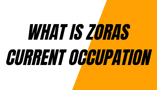 What is Zora’s Current Occupation? Beginners Guide