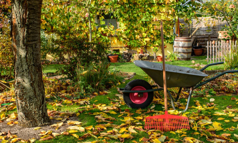 Autumn Gardening: Six Projects To Transform Your Garden