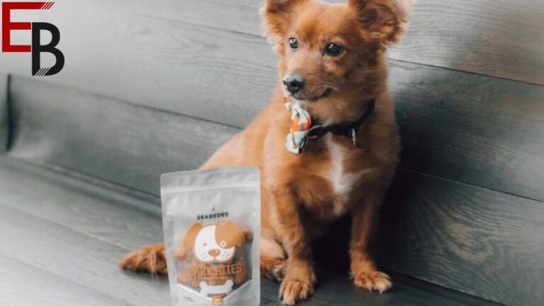 Pawsitively Perfect: Mastering Dog Treats, Collars, Food, and the Ideal Breed for Your Lifestyle
