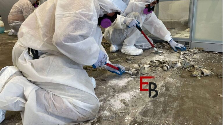 Hire Asbestos Removal Service to Get Quality Assistance