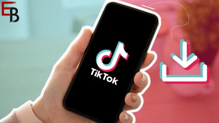 10 Best TikTok Video Downloaders: useful for your need