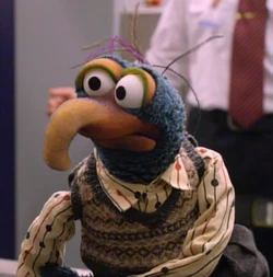 Hooked Beaks Matter in Muppet