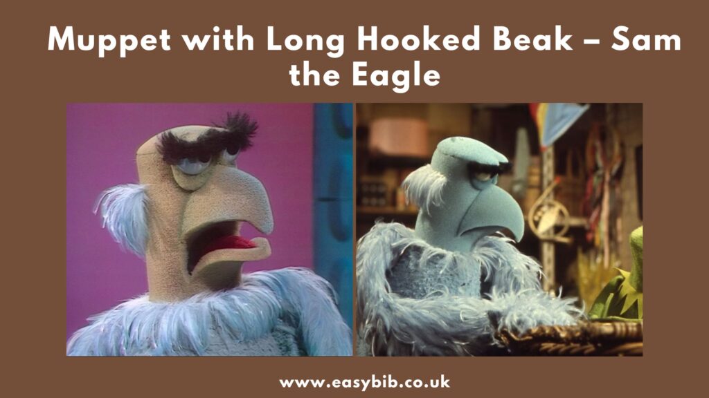 Muppet with Long Hooked Beak Sam the Eagle