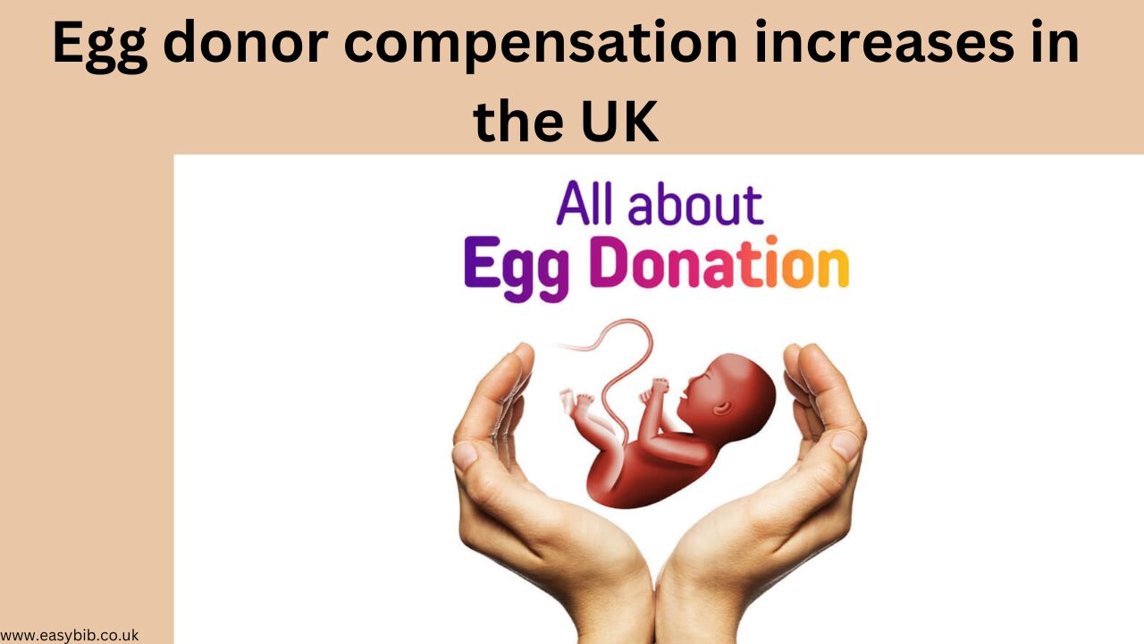 Egg donor