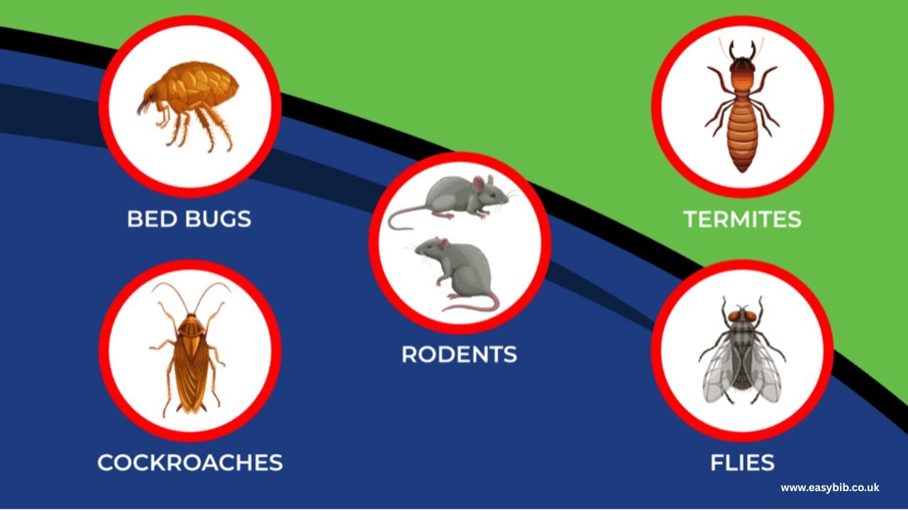 Pests