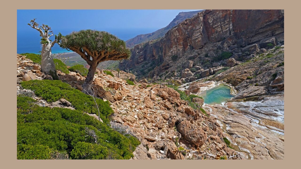 Socotra Island