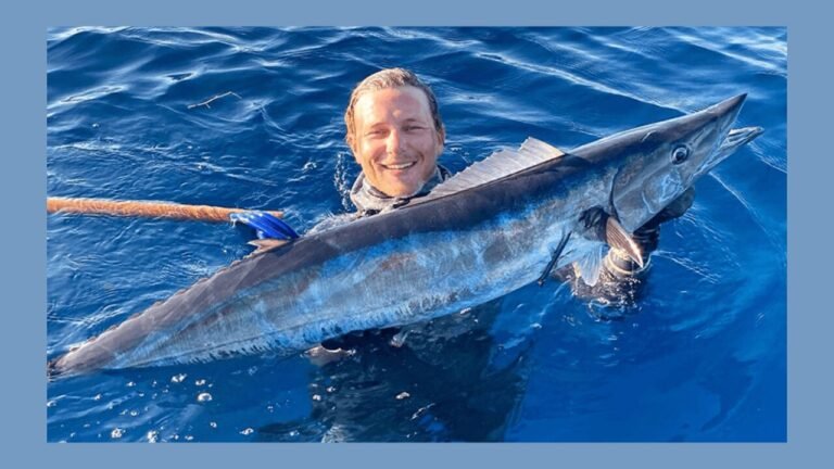 Spearfishing Charter