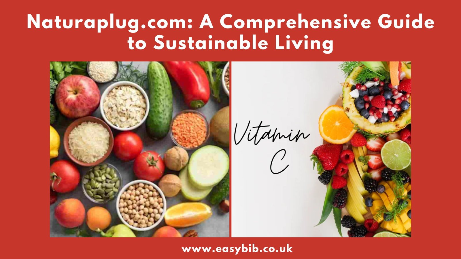 Naturaplug.com living