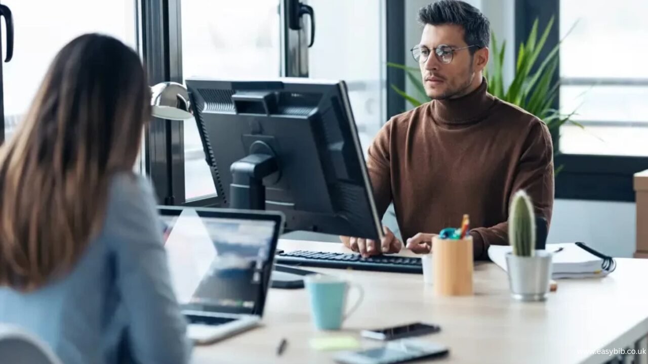 WordPress Developer