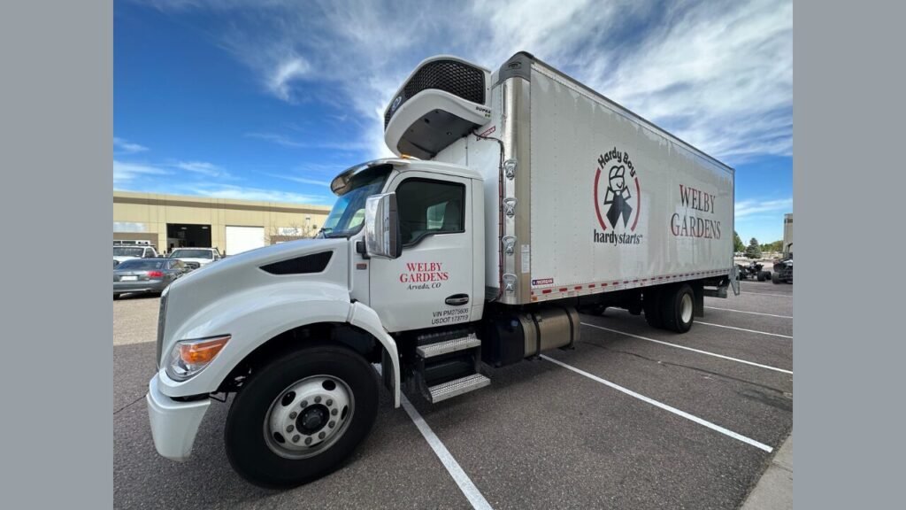 Vehicle Wrap