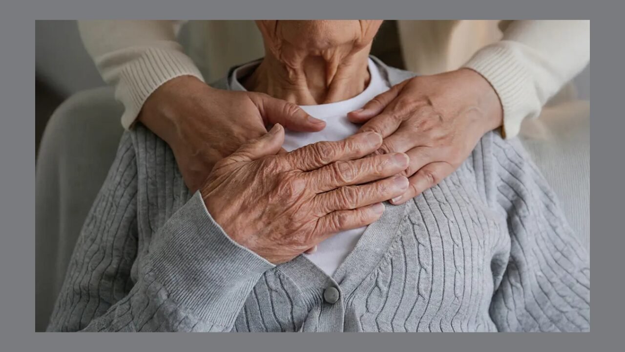 Elderly Care Services
