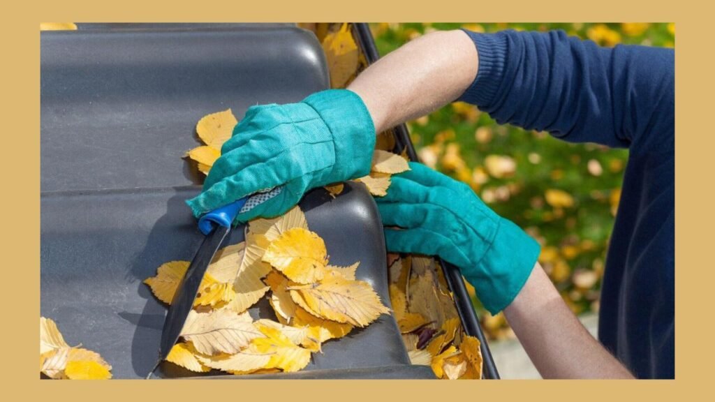 Gutter Maintenance