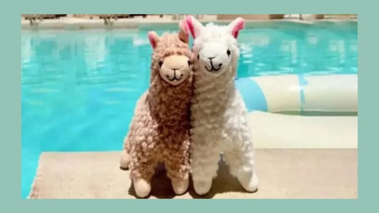 Plushies