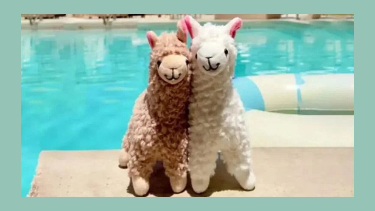 Plushies
