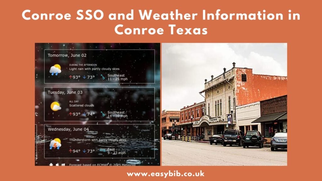 conroe SSo texas