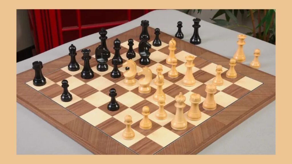 Best Chess Store