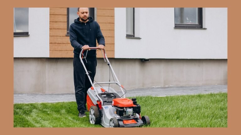 Self Propelled Lawn Mower