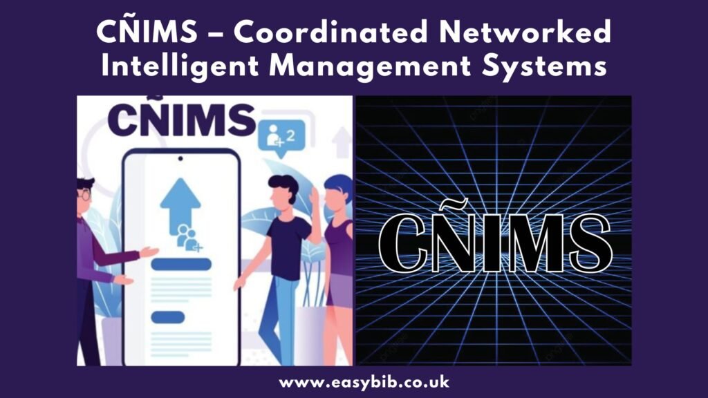 Coordinated Networked Intelligent Management Systems