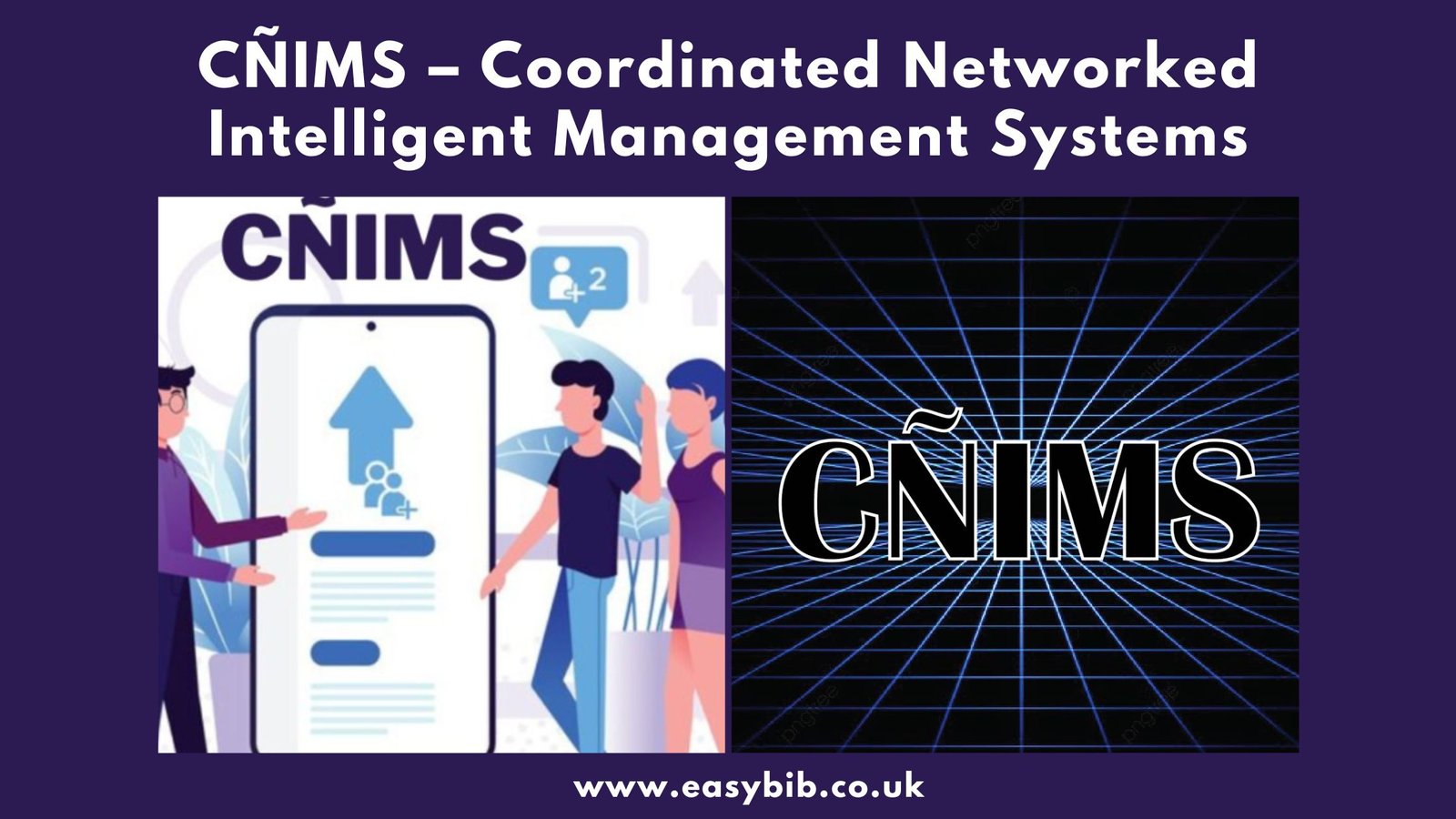 Coordinated Networked Intelligent Management Systems