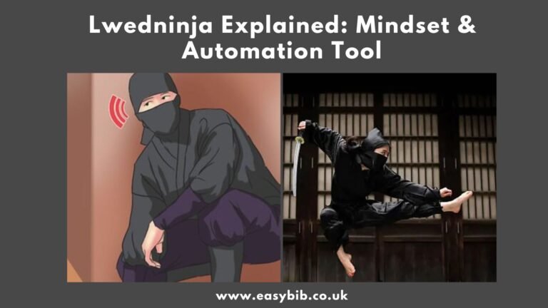 Lwedninja Mindset Automation Tool