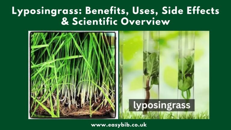 Lyposingrass