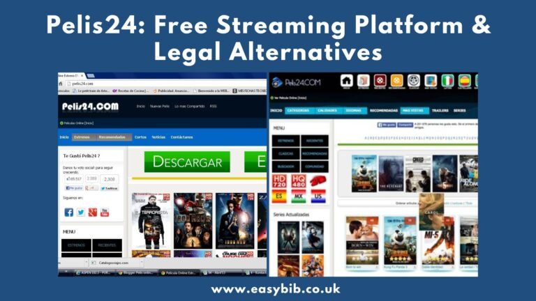 what is Pelis24