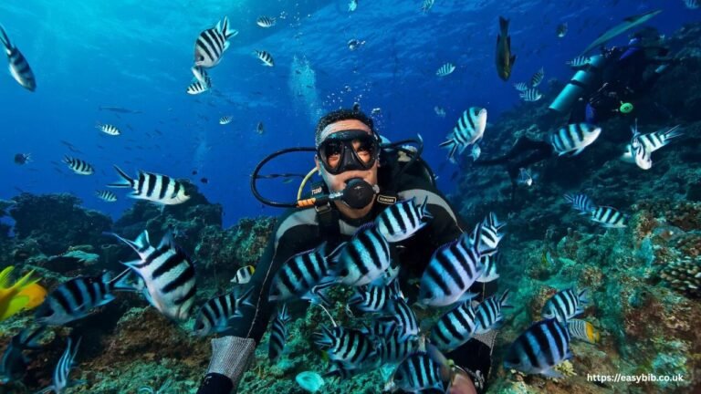 Dive Resorts Fiji