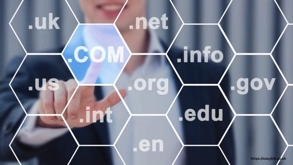 A Domain Zone