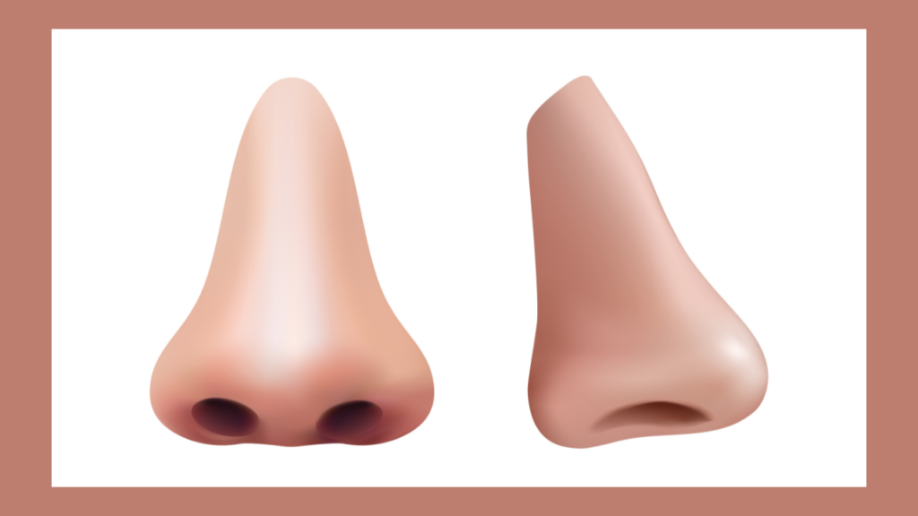 Rhinoplasty