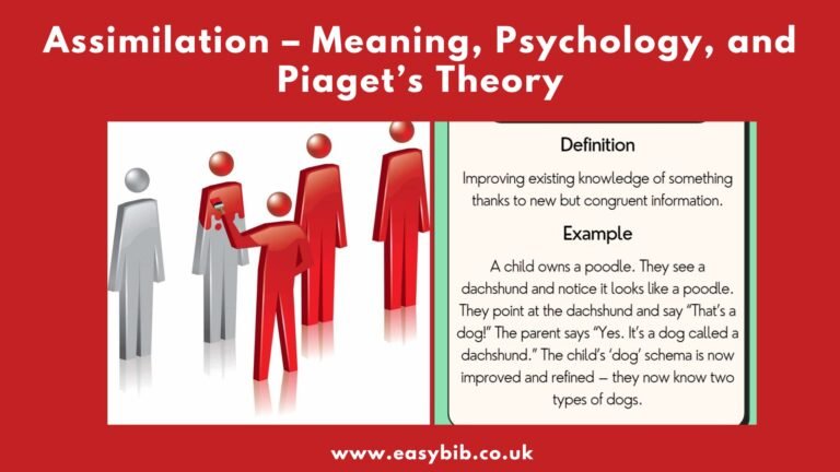 Assimilation in Psychology