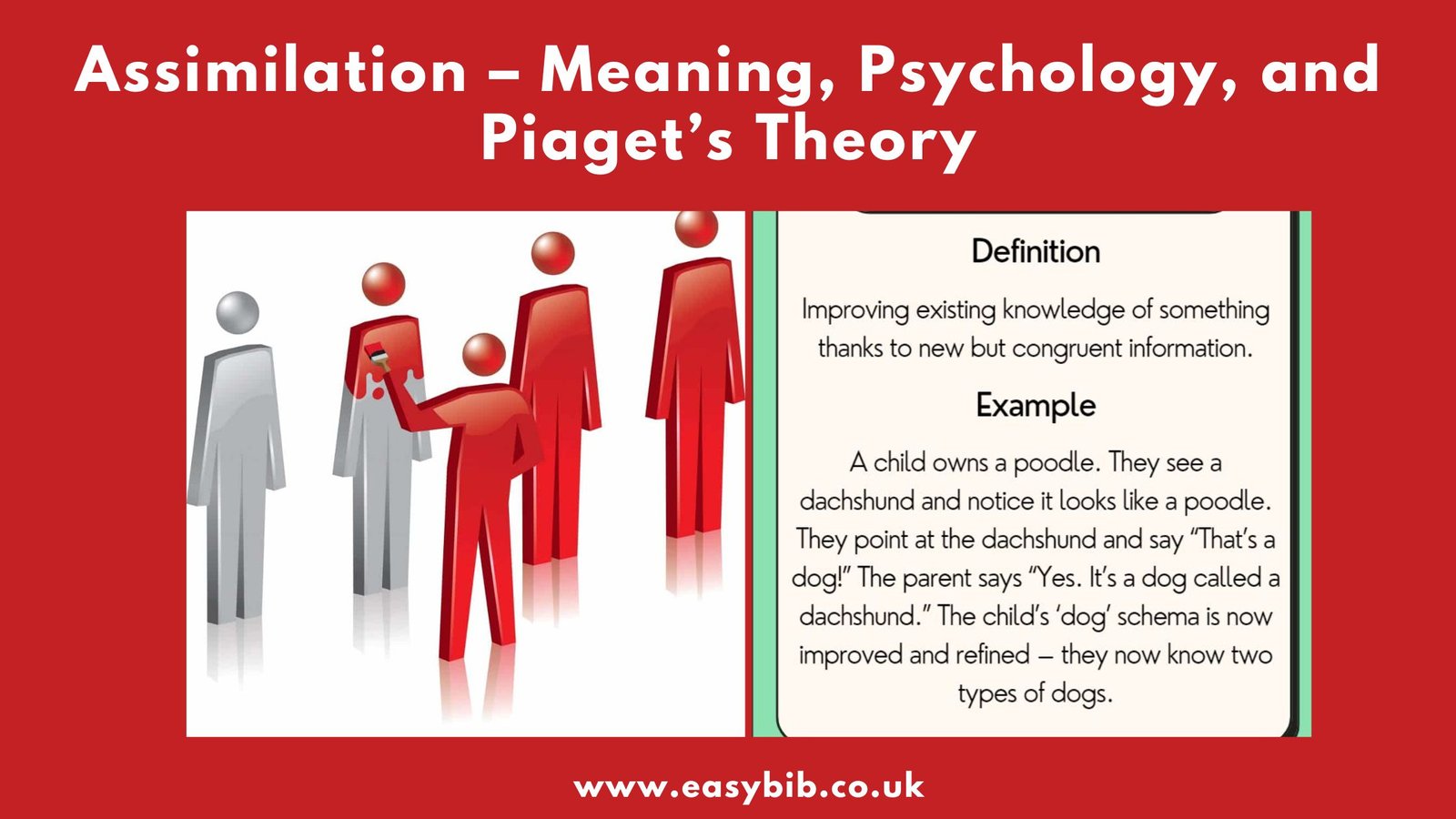 Assimilation in Psychology