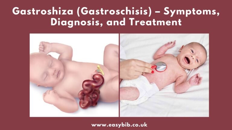 Gastroshiza