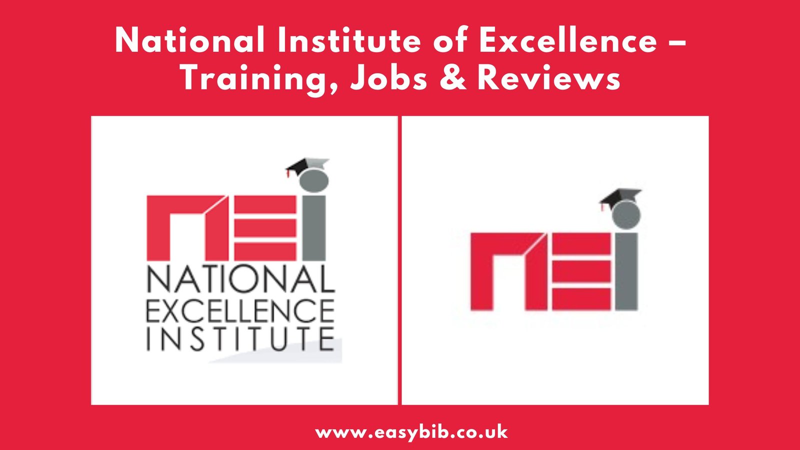National Institute of Excellence