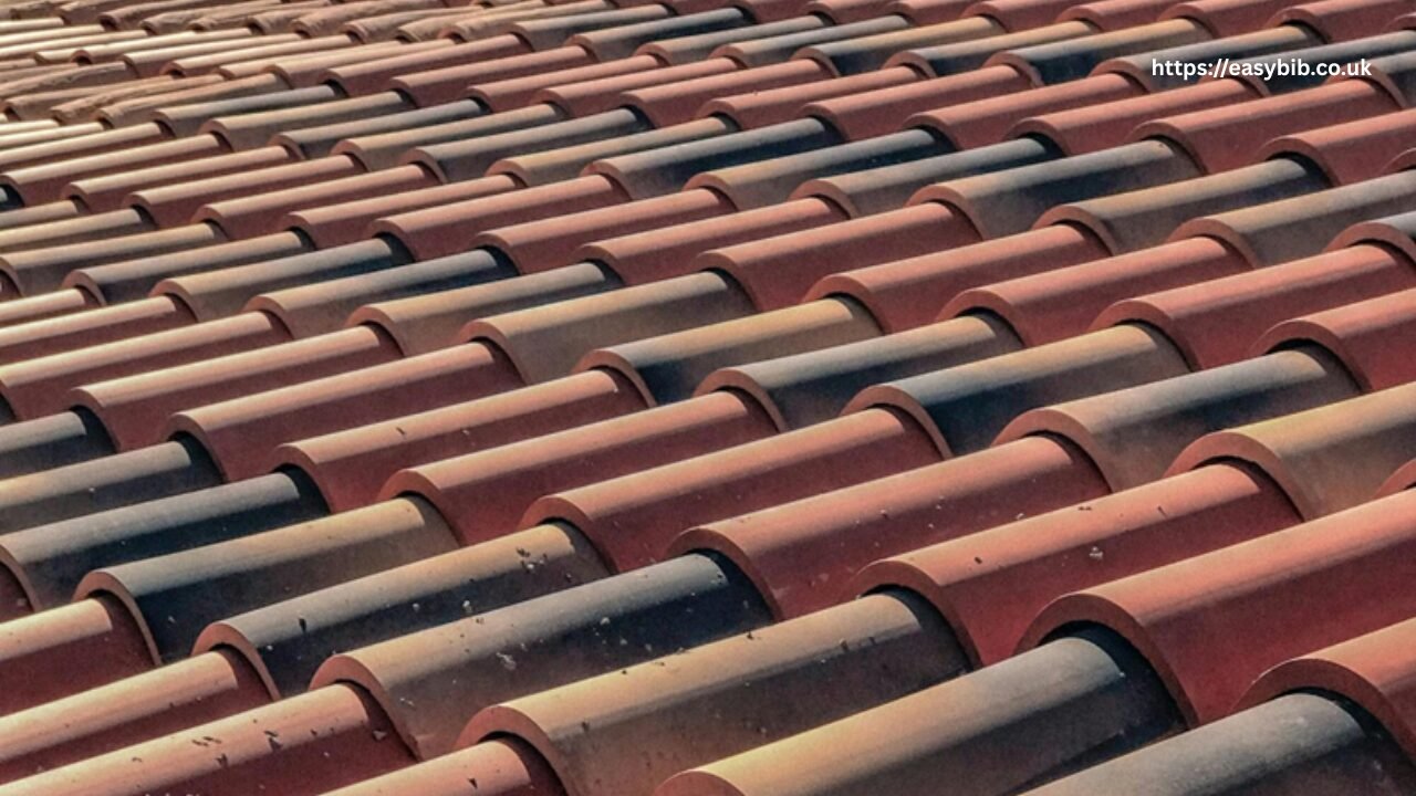 Roof Maintenance