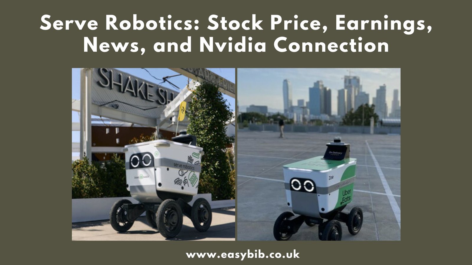 Serve Robotics