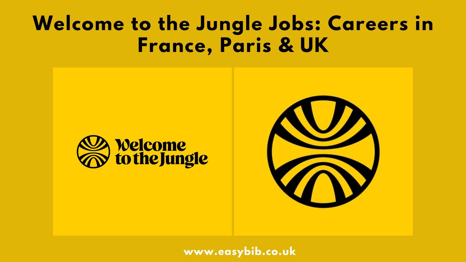 Welcome to the Jungle
