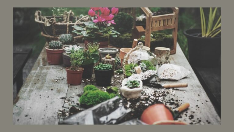 Elevate Garden Aesthetics