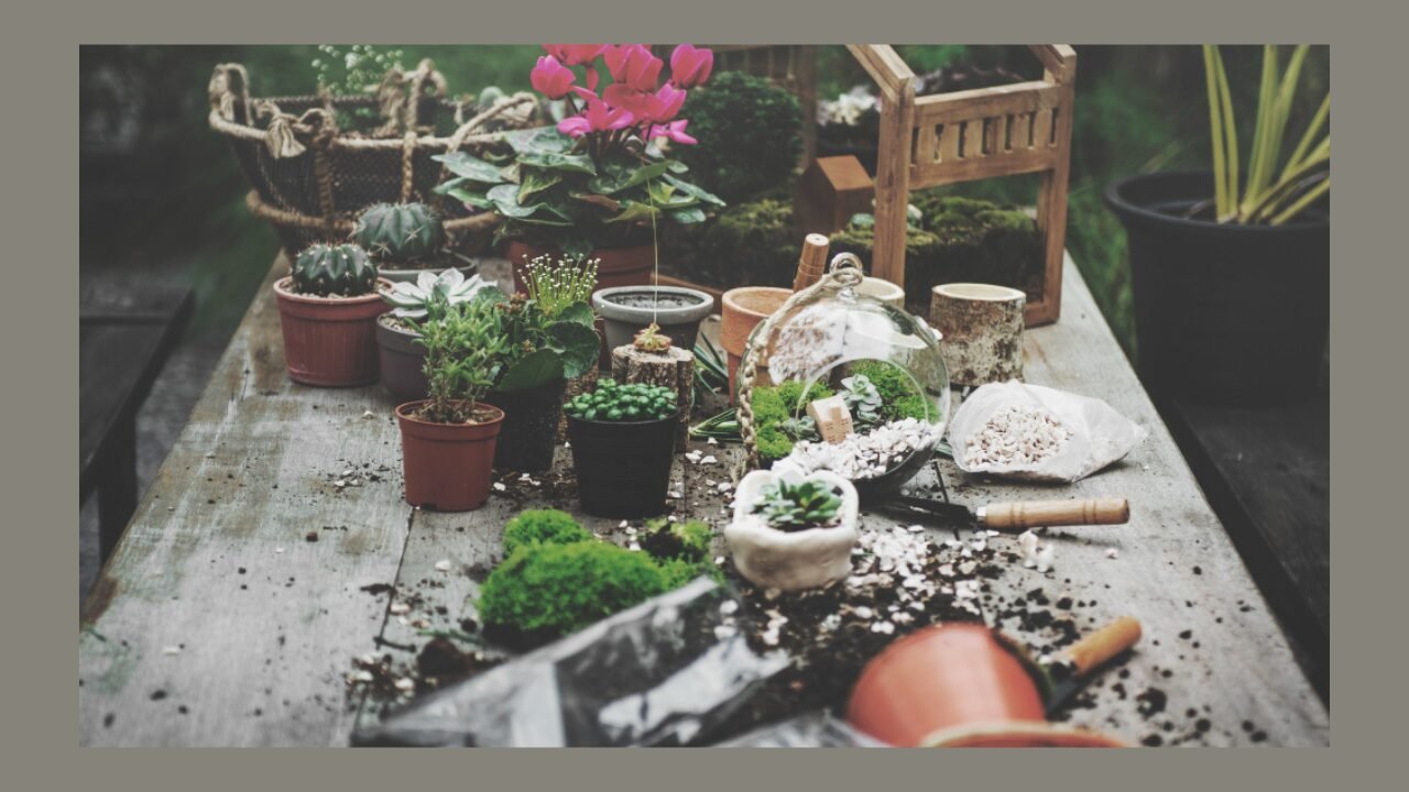 Elevate Garden Aesthetics