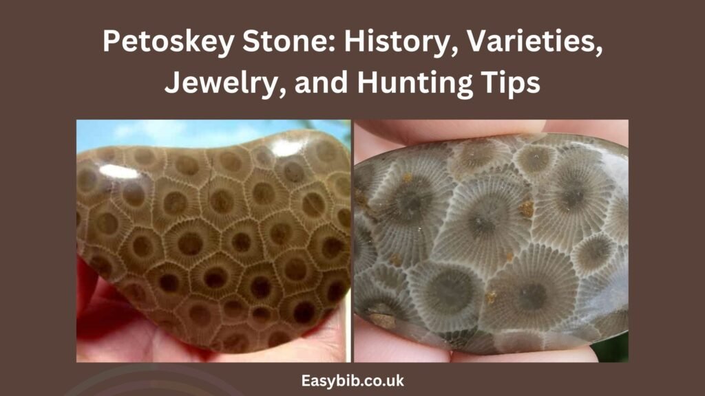 Petoskey Stone