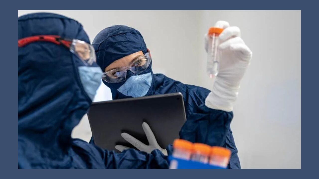 Asbestos Removal