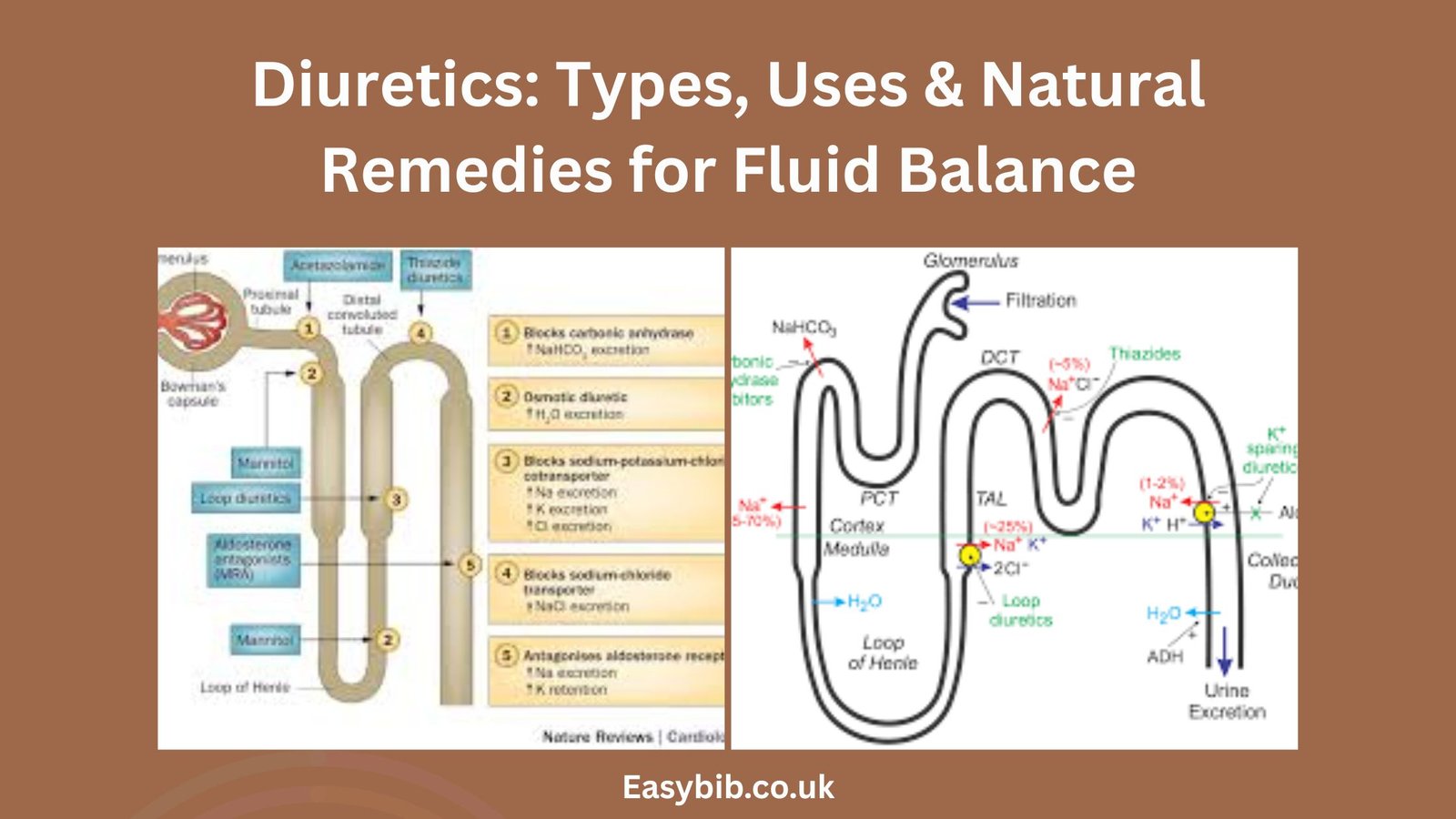Diuretics