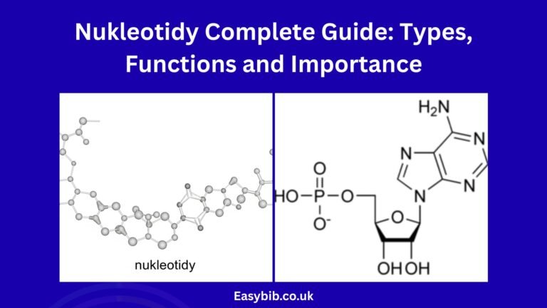 Nukleotidy