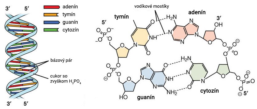 Nukleotidy in Science