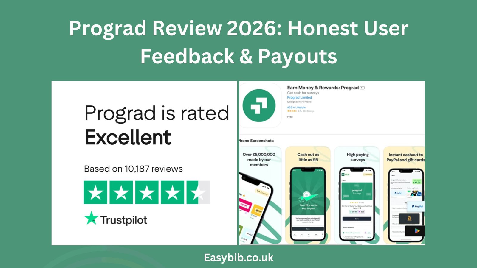 Prograd Review