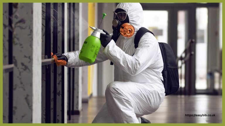 Mold Remediation
