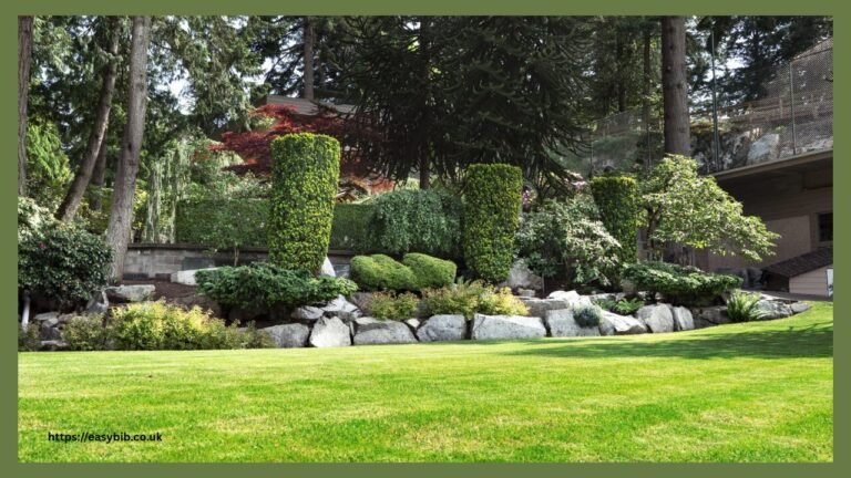 Professional Landscaping