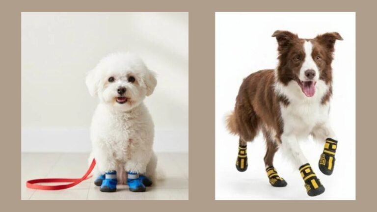 Dog Shoes