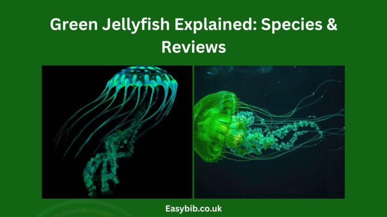 green jellyfish