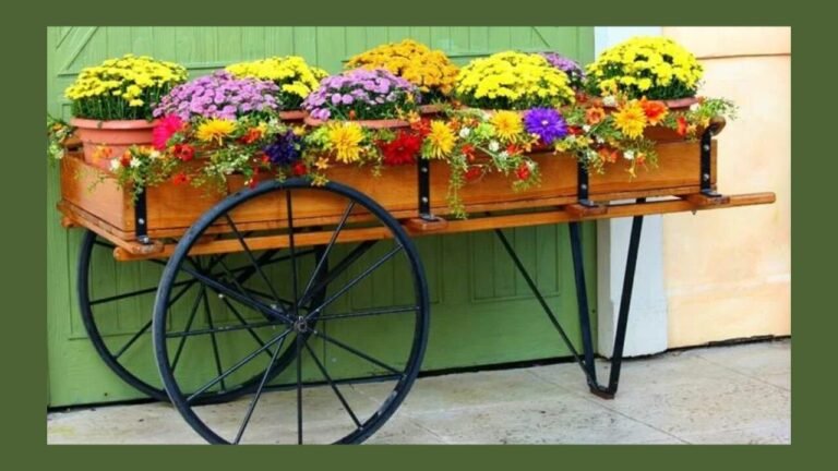 Garden Decor