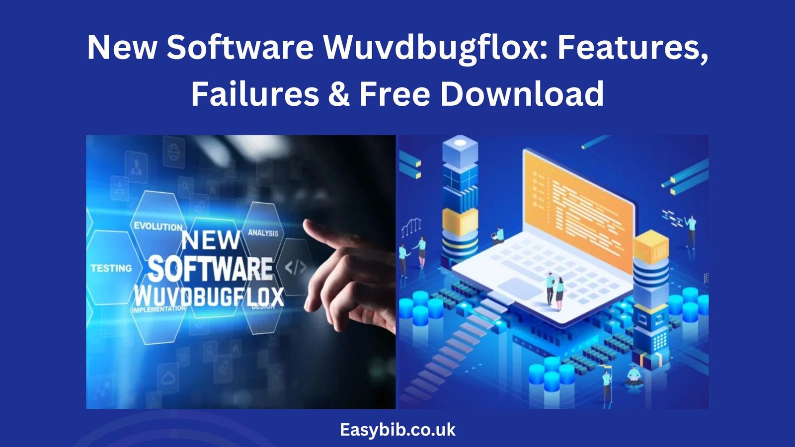 New Software Wuvdbugflox